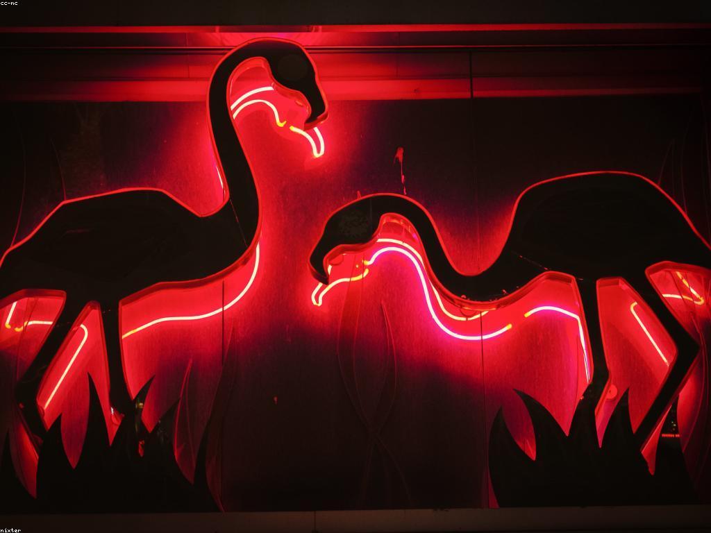 និន្នាការថ្មីក្នុងហ្គេមកាស៊ីណូ